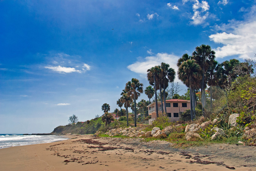 Palmenstrand in der Karibik – ruhiger Sandstrand unter blauem Himmel Ruhiger Karibikstrand mit hohen Palmen, feinem Sand und strahlend blauem Himmel – perfekter Ort für einen entspannten Strandurlaub.
