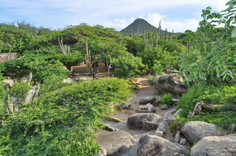 Grüne, trockene Landschaft mit Kakteen, Felsen und Sträuchern auf Aruba. Im Hintergrund erhebt sich der markante Hooiberg-Hügel unter blauem Himmel.