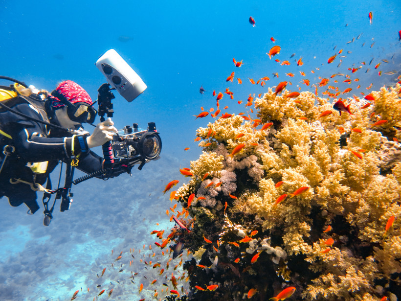 Ägypten - Sharm el Sheikh Eine Taucherin mit Unterwasserkamera fotografiert ein lebendiges Korallenriff voller kleiner, orangefarbener Fische im klaren, blauen Wasser.