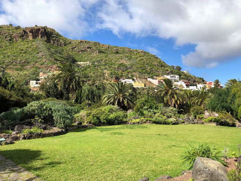 Teneriffa, Winter Palmen und Pflanzen auf Teneriffa, Berge im Hintergrund