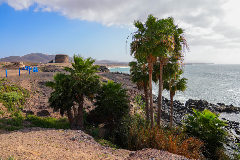 Küstenlandschaft bei El Cotillo mit Palmen, Felsküste und Blick auf das Meer