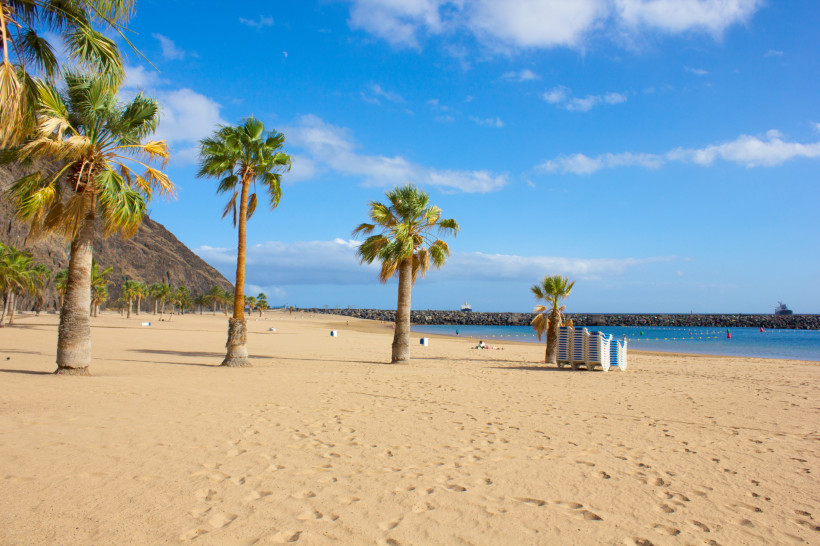 Strandansicht des Playa de Las Teresitas auf Teneriffa mit mehreren hohen Palmen auf hellem, weichem Sand. Im Hintergrund liegt das ruhige blaue Meer, das durch einen Steinwellenbrecher geschützt wird. Einige Menschen entspannen am Strand, während gestape