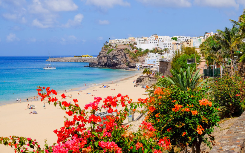Fuerteventura Blick auf einen hellen Sandstrand mit türkisblauem Meer. Menschen sonnen sich, bunte Blumen im Vordergrund, weiße Häuser auf einem Felsen im Hintergrund.