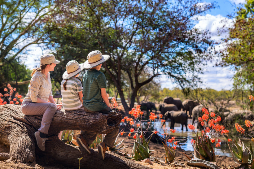 Kenia Eine Frau und zwei Kinder sitzen auf einem umgestürzten Baumstamm in der Savanne und beobachten eine Gruppe von Elefanten, die an einem Wasserloch trinken. Um sie herum blühen orangefarbene Wildblumen, die Sonne scheint durch die Bäume.
