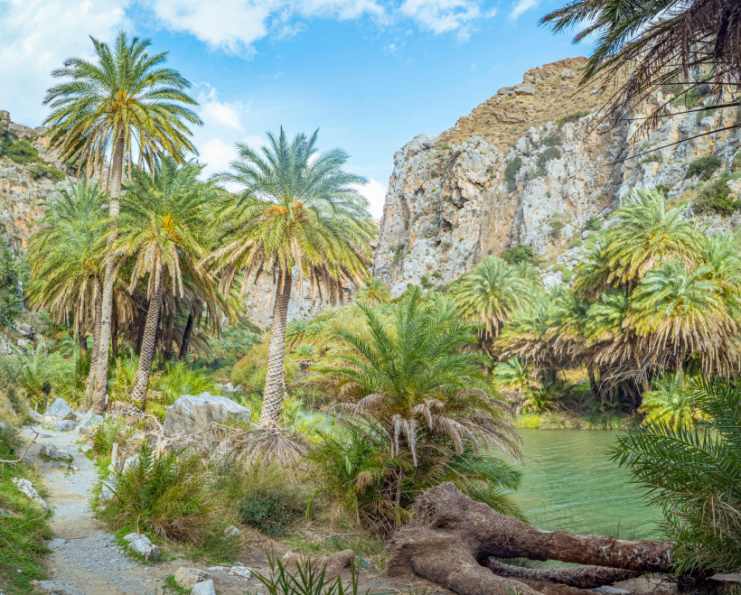 Weg zum Preveli Palmstrand durch Palmenhain und Schlucht Wanderweg durch einen Palmenhain in einer Schlucht beim Preveli Palmstrand