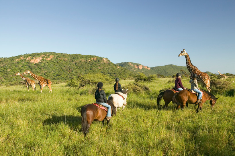 Kenia Gruppe von Reiterinnen und Reitern beobachtet während eines Ausritts in der Savanne mehrere Giraffen. Die Landschaft ist grün und hügelig, im Hintergrund leuchten rote Felsen unter klarem Himmel.