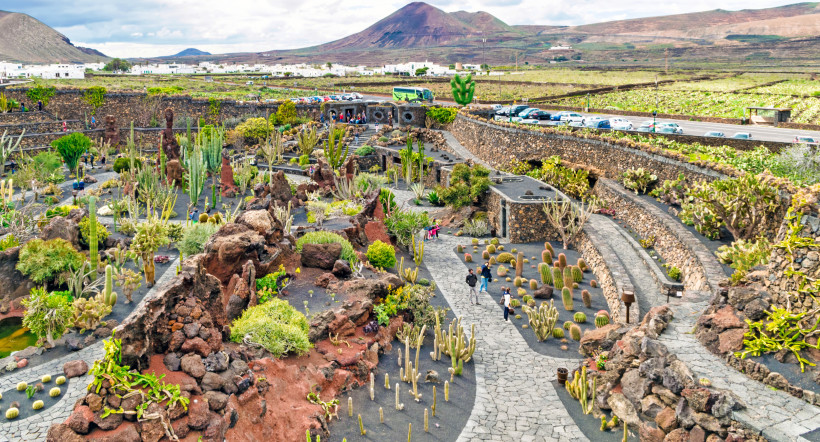 Jardín de Cactus in Guatiza – spektakulärer Kakteengarten auf Lanzarote Panoramablick über den Jardín de Cactus in Guatiza auf Lanzarote mit Terrassen, hunderten Kakteenarten und Vulkanlandschaft im Hintergrund.