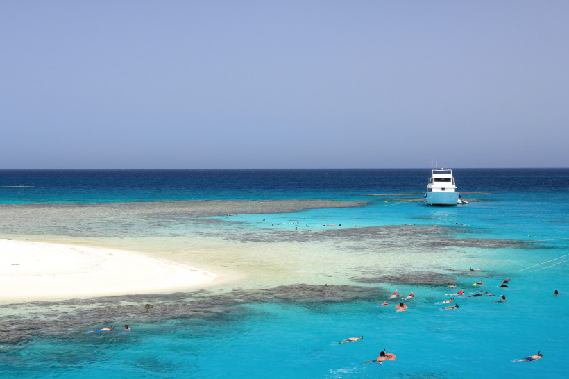 Charakteristische Mangrovenbäume am ruhigen Sandstrand von Hamata im Süden von Marsa Alam, umgeben von klarem Meer und naturbelassener Küstenlandschaft.