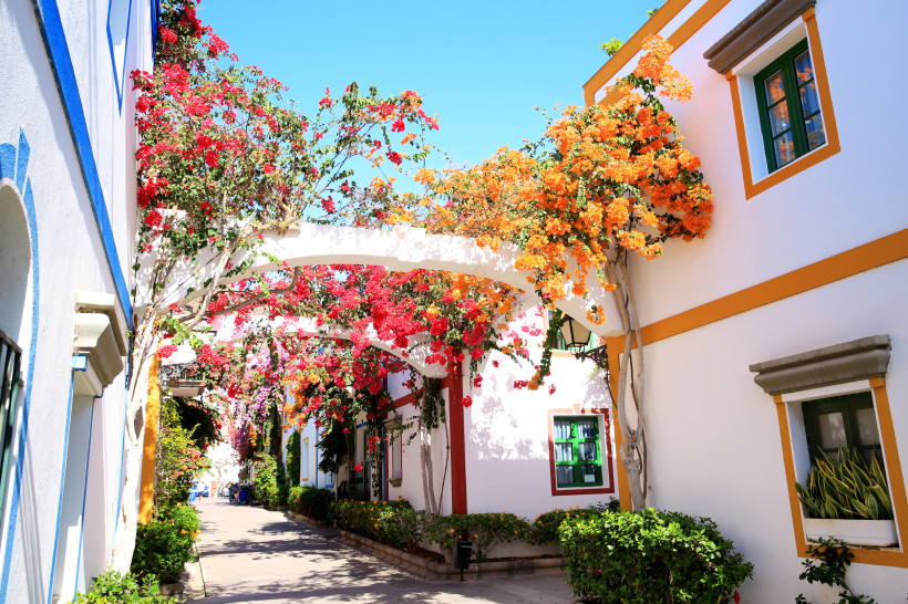 Schmale Gasse in Puerto de Mogán auf Gran Canaria, gesäumt von weißen Häusern mit bunten Fensterrahmen und leuchtenden Bougainvillea-Blüten.