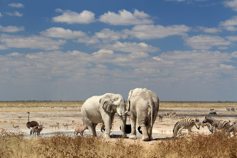 Etosha-Nationalpark