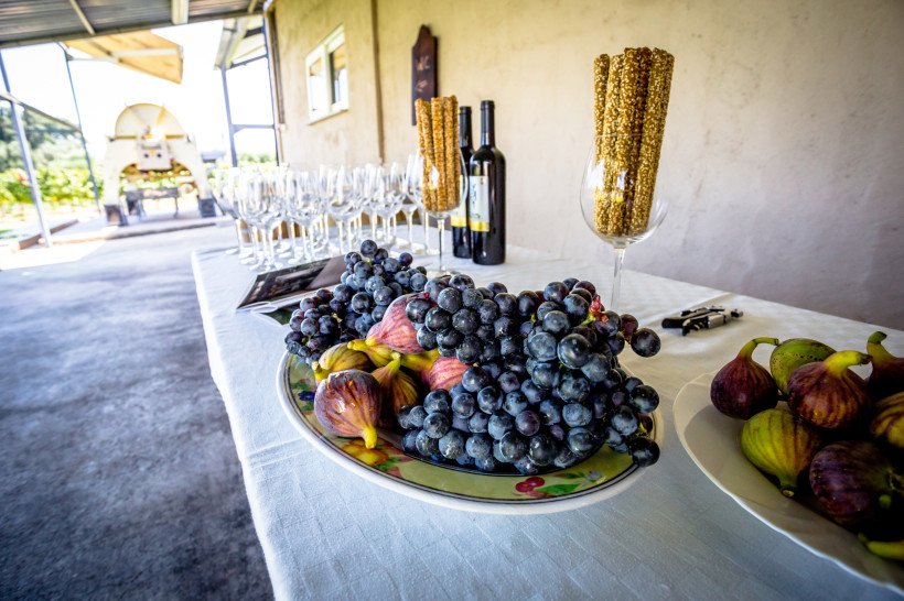 Tisch mit weißer Tischdecke, gedeckt für eine Weinverkostung. Im Vordergrund liegen dunkle Weintrauben und Feigen auf einem Teller. Daneben stehen Weingläser, zwei Weinflaschen und Gläser mit goldenen Sesamstangen. Im Hintergrund ist eine überdachte Terra