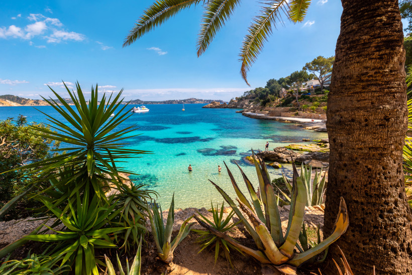 Cala Fornells – Mediterrane Bucht mit kristallklarem Wasser in Calvia Blick auf Cala Fornells bei Peguera mit Palmen und Agaven im Vordergrund, klarer Felsenbucht und Badegästen im Südwesten von Mallorca.