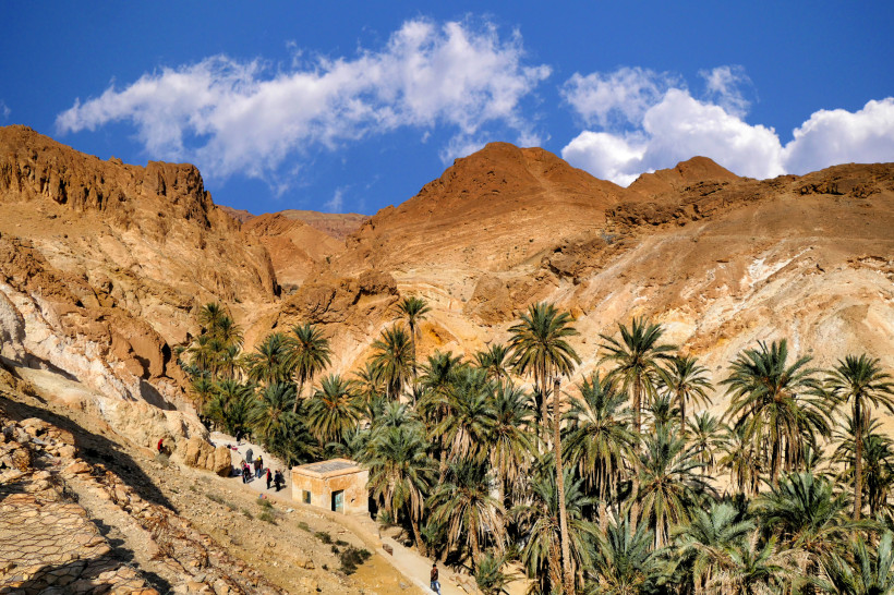 Ein Oasental mit grünen Palmen vor einer imposanten, roten Felskulisse. Die Palmen reihen sich entlang eines schmalen Weges, auf dem Menschen spazieren gehen. Im Hintergrund ragen hohe Felsen auf, deren rote und ockerfarbene Töne von der Sonne beleuchtet 
