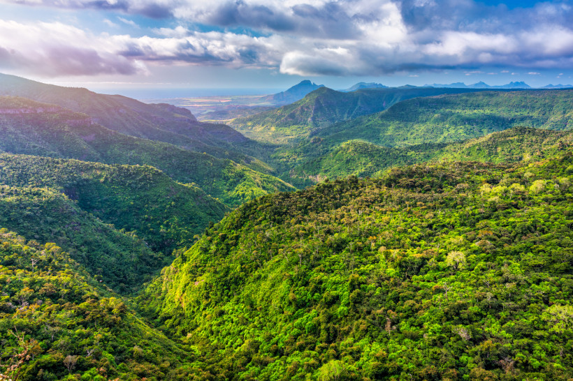 Weitläufiger Blick über den Black River Gorges Nationalpark mit grünen Bergen und Tälern auf Mauritius