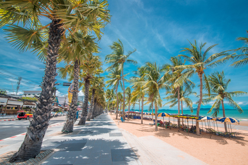 Tropische Strandpromenade mit Palmen und Sonnenschirmen am Meer Strandpromenade mit Palmen, Sonnenschirmen und Liegestühlen an einem tropischen Sandstrand bei blauem Himmel