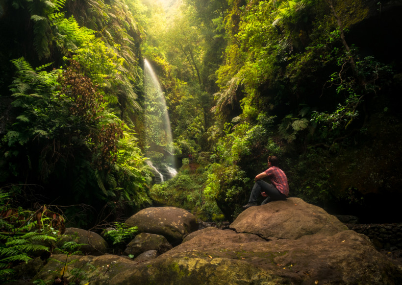La Palma: Magischer Wasserfall im Lorbeerwald Wasserfall im dichten Lorbeerwald auf La Palma mit moosbedeckten Felsen und einer sitzenden Person auf einem Felsen im Vordergrund