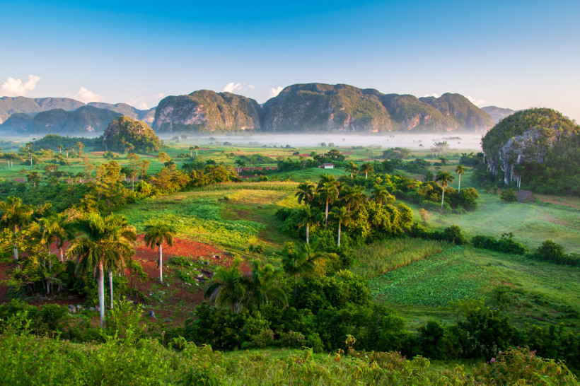 Atemberaubender Blick auf das grüne Vinales-Tal in Kuba mit üppiger Vegetation, Palmen, landwirtschaftlichen Feldern und den markanten Mogotes-Kalksteinfelsen im Hintergrund bei Morgendunst.