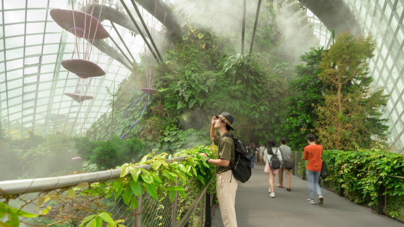 Singapur Eine Person mit Hut und Rucksack steht auf einem Steg im 'Cloud Forest' in Singapur. Umgeben von dichter tropischer Vegetation und künstlichem Nebel blickt die Person fasziniert auf die grüne Wand eines vertikalen Gartens unter einer hohen Glaskuppel.