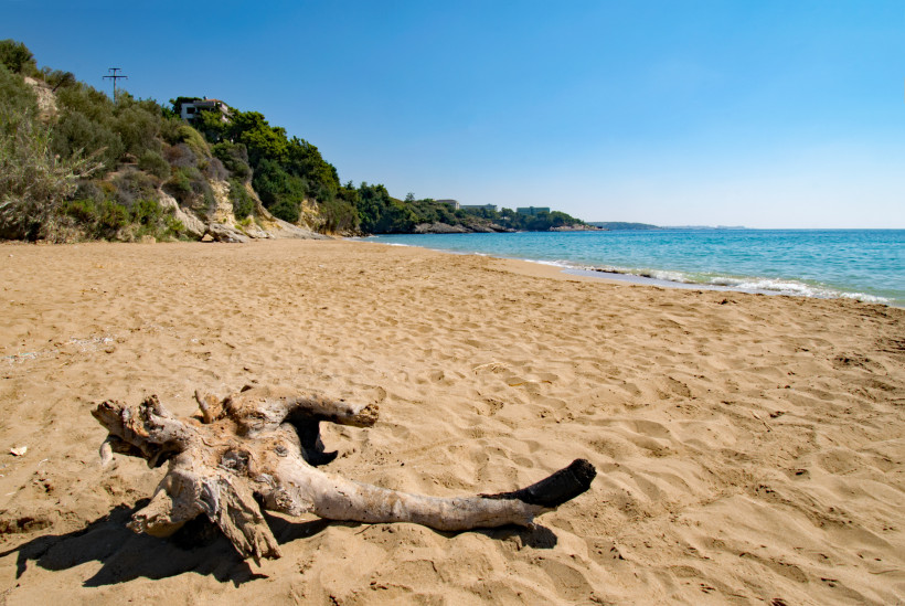 Breiter, leerer Sandstrand mit Treibholz im İncekum Tabiat Parkı an der türkischen Riviera in der Nähe von Alanya