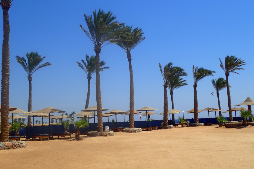 Weitläufiger Strand mit Palmen und gemütlichen Sonnenliegen Strandbereich mit hohen Palmen und schattigen Liegeplätzen unter Strohsonnenschirmen