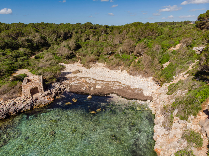 Felsbucht Cala Brafi mit klarem Wasser, Kiesstrand und Pinienwald bei Felanitx auf Mallorca