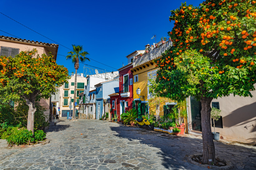 Mallorca - Palma de Mallorca Bunte Häuserfassaden an einer engen Kopfsteinpflasterstraße auf Mallorca. Links und rechts stehen Orangenbäume mit reifen Früchten, die leuchtend orange zwischen dem satten Grün der Blätter hervorscheinen. Im Hintergrund sieht man weitere mediterrane Gebä