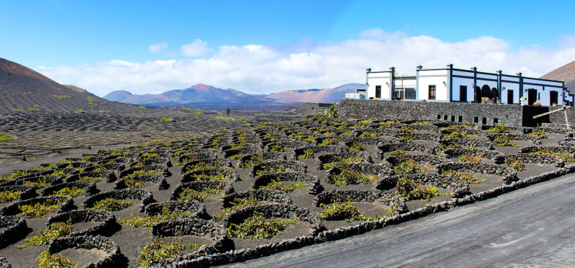 Lanzarote - La Geria Weingut in La Geria auf Lanzarote mit traditionellem Gebäude und kreisförmigen Weinreben im schwarzen Lavaboden.