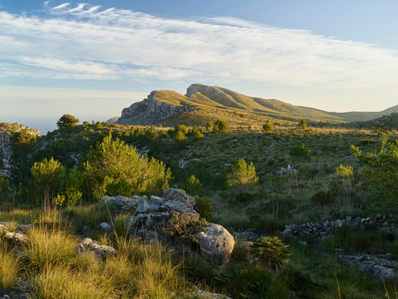 Hügellandschaft mit Felsen, Sträuchern und Kiefern im Parc Natural de la Península de Llevant