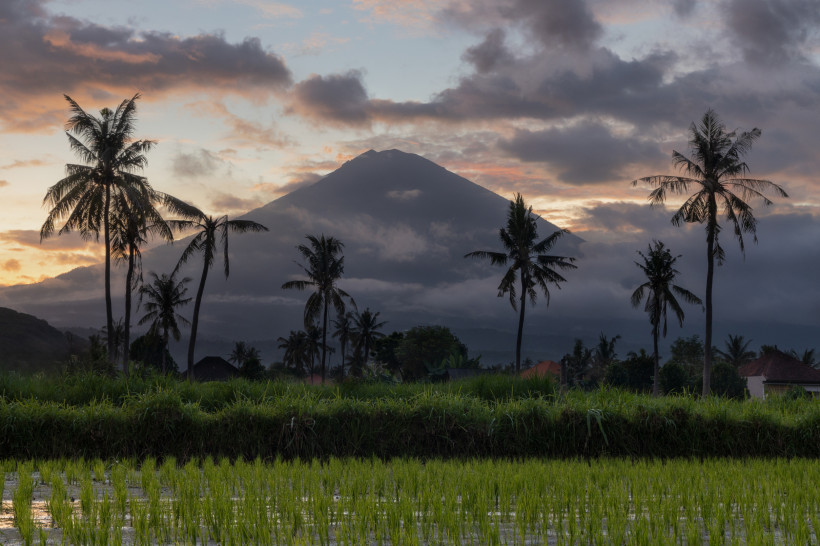 Amed, Sri Lanka Der Vulkan Agung auf Bali bei Sonnenaufgang, eingerahmt von Palmen und Reisfeldern im Vordergrund