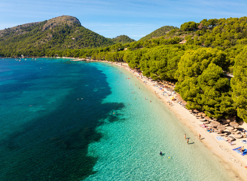 Mallorca - Platja de Formentor Luftaufnahme der Platja de Formentor auf Mallorca. Ein langer, heller Sandstrand zieht sich entlang einer türkisblauen Bucht. Am Ufer reihen sich Pinienwälder, die bis an den Strand reichen, und bieten natürlichen Schatten. Sonnenliegen und Schirme stehen