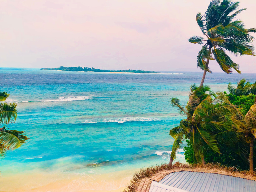 Malediven - Thulusdhoo  Blick auf die Wellen und das türkisfarbene Meer der Malediven, umrahmt von Palmen im Wind