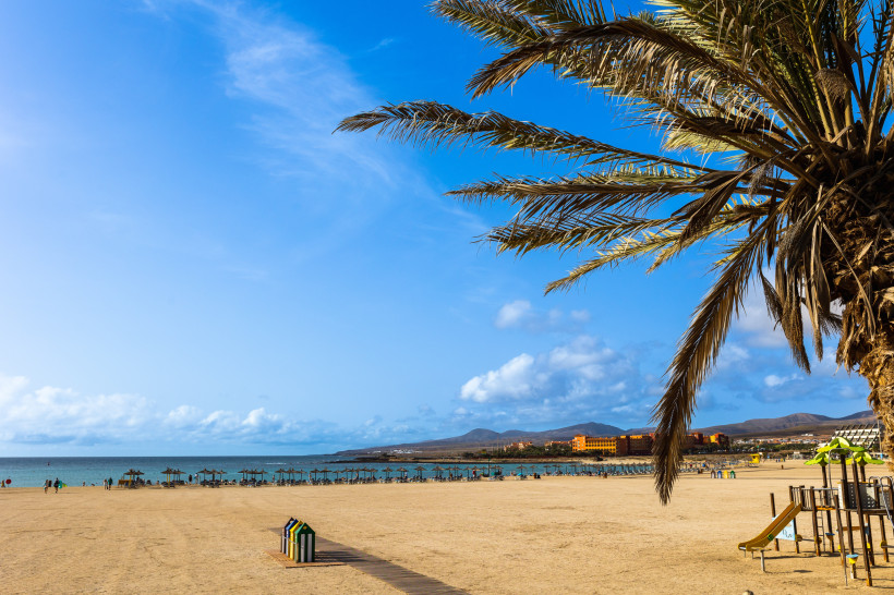 Strand von Caleta de Fuste mit Palmenzweig im Vordergrund, Sonnenschirmen am Ufer und Bergen am Horizont