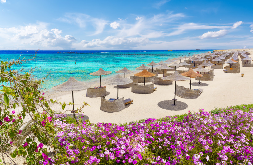 Ägypten - Marsa Alam Heller Sandstrand mit türkisblauem Meer, Bast-Sonnenschirmen und Sonnenliegen. Im Vordergrund blühen farbenfrohe pink-violette Blumen, darüber ein sonniger Himmel mit lockeren Wolken.
