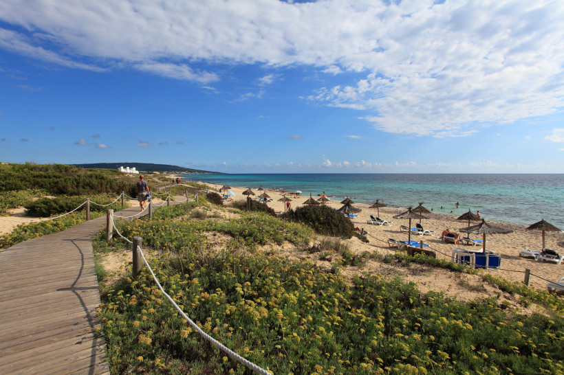 Formentera - Playa de Migjorn Holzplanken-Wanderweg durch die Dünen zur Playa de Migjorn auf Formentera. Rechts liegen der lange Sandstrand mit Sonnenschirmen und Liegen sowie das türkisfarbene Meer.