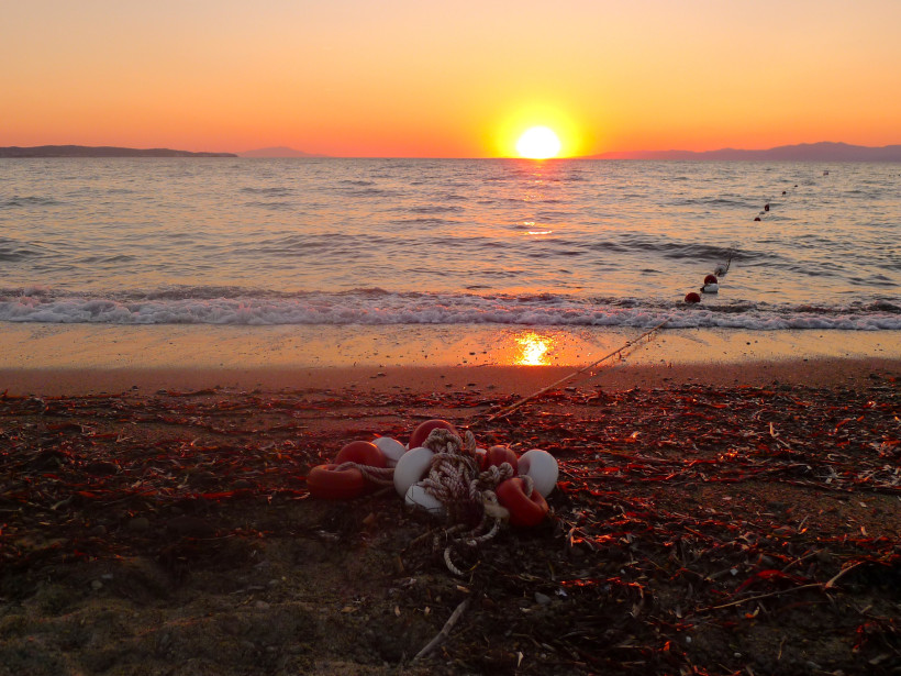 Sonnenuntergang am Strand mit ruhiger Brandung. Im Vordergrund liegen Bojen und ein Seil im angespülten Seegras, während die Sonne orangefarben im Meer versinkt und den Himmel in warmes Licht taucht.