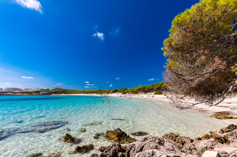 cala-agulla