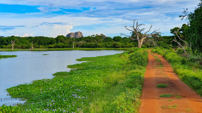 Yala Nationalpark, Sri Lanka Safari-Piste mit roter Erde entlang eines Sees im Kaudulla Nationalpark in Sri Lanka mit Blick auf den Sigiriya-Felsen im Hintergrund