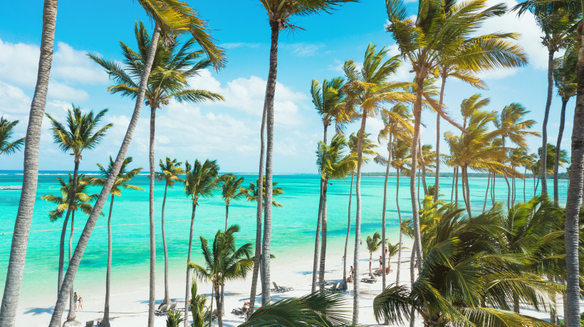 Hohe Palmen am weißen Sandstrand mit Blick auf türkisblaues Meer unter sonnigem Himmel, Menschen entspannen auf Sonnenliegen
