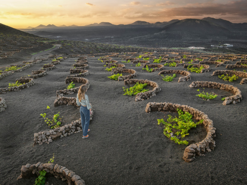 La Geria Weinberge bei Sonnenuntergang auf Lanzarote Weinreben in der Vulkanlandschaft von La Geria auf Lanzarote bei Sonnenuntergang – traditionelle halbkreisförmige Steinmauern zum Schutz der Rebstöcke, Frau blickt über die Weinberge