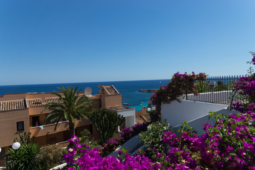 Blick über Dächer und Gärten in Illetas auf das Mittelmeer, mit Palmen und pinken Bougainvilleen im Vordergrund