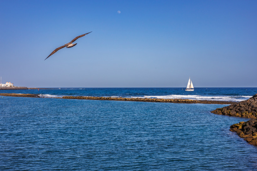 Blick auf die Playa de la Guirra mit ruhigem Meer, Segelboot am Horizont und fliegendem Vogel über dem Wasser
