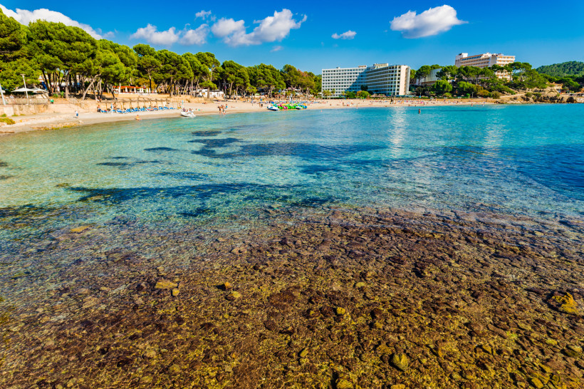 Playa Tora mit flachem, klarem Wasser, Sandstrand, Pinien und Hotelgebäuden im Hintergrund