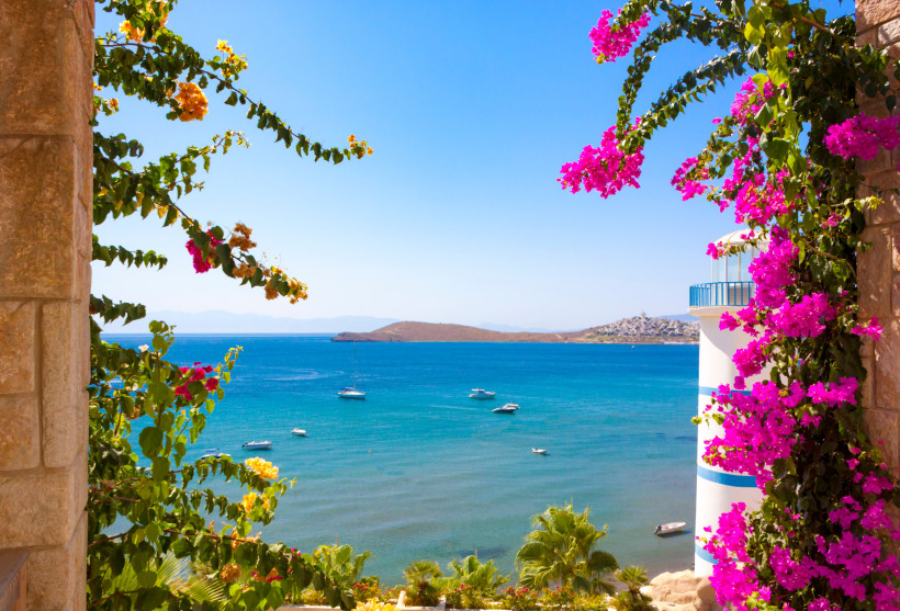 Blick durch blühende Bougainvillea auf das türkisfarbene Meer von Bodrum mit Leuchtturm, Booten und Küstenlandschaft