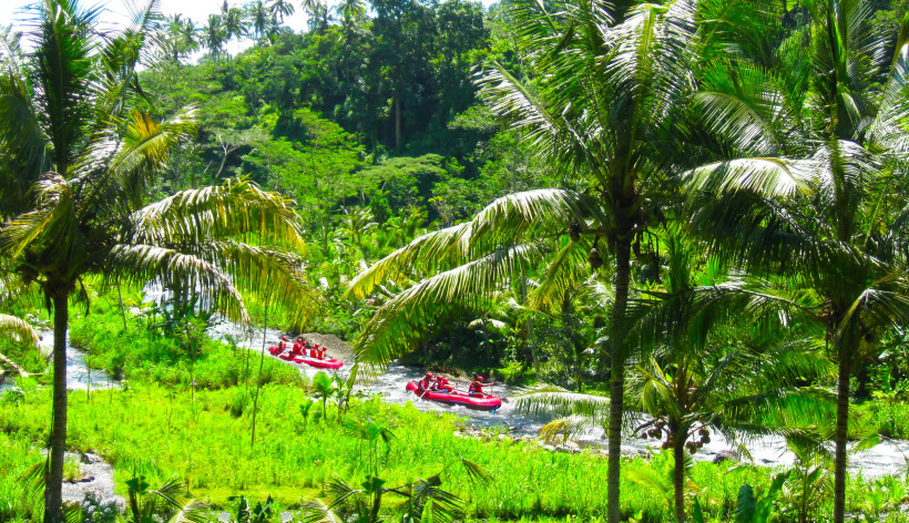 Bali Zwei Gruppen von Menschen in roten Schlauchbooten beim Rafting durch einen schmalen, tropischen Fluss auf Bali. Der Fluss schlängelt sich durch dichtes Grün mit Palmen und üppiger Vegetation. Die Sonne scheint, das Wasser glitzert, und die Szene vermittel