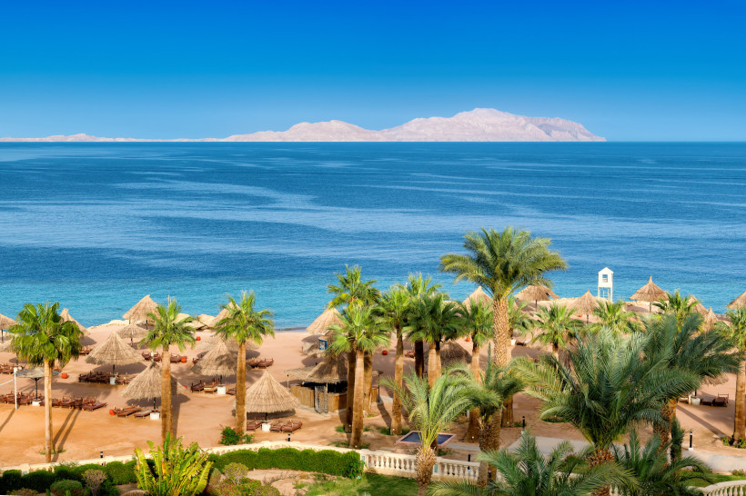 Ägypten - Sharm el Sheikh Ein tropischer Sandstrand mit vielen Palmen und Strohdach-Sonnenschirmen, die über gemütliche Strandliegen verteilt sind. Im Hintergrund erstreckt sich das tiefblaue Meer mit Blick auf eine ferne Insel. Das Bild vermittelt Ruhe, Exotik und einen Hauch von