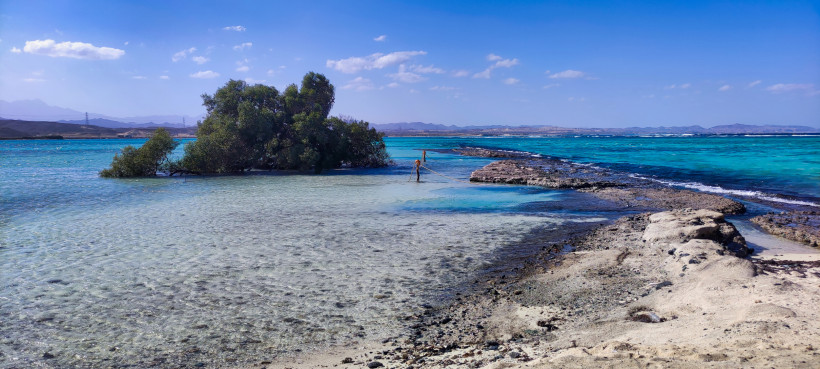 Kristallklare Lagune mit Mangroven und türkisblauem Wasser in Ägyptens Küstenlandschaft