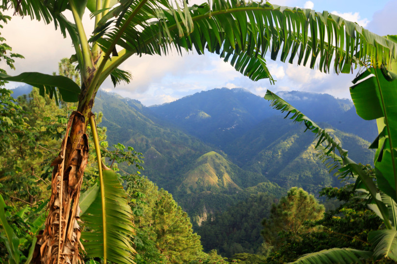 Jamaika Üppig bewachsene grüne Berge mit dichtem tropischen Regenwald in Jamaika, eingerahmt von großen Bananenblättern im Vordergrund. Die Landschaft zeigt ein beeindruckendes Panorama mit Hügeln und Tälern unter einem teilweise bewölkten Himmel – ein ruhiger, n