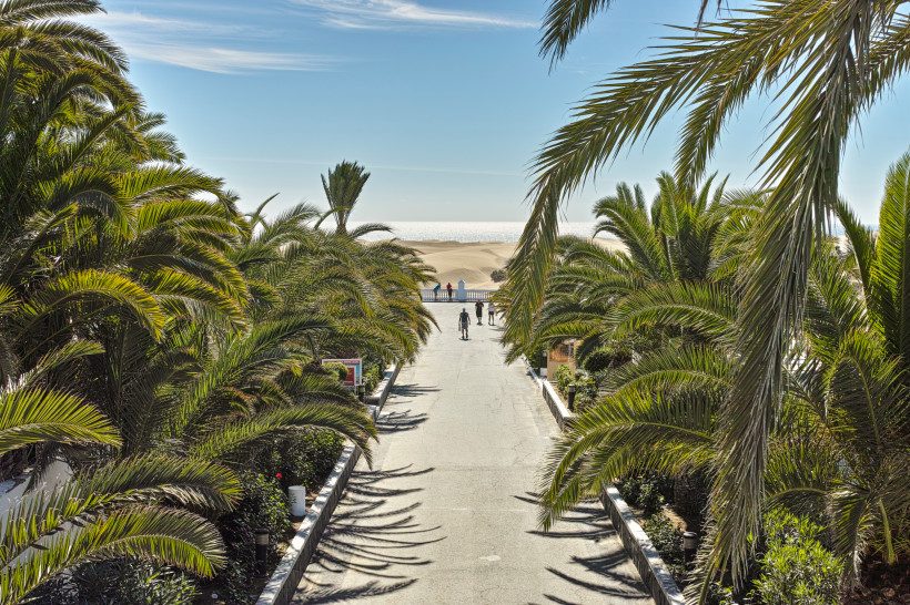 Palmenallee mit Weg zu den Dünen von Maspalomas und Blick auf den Atlantik, Gran Canaria
