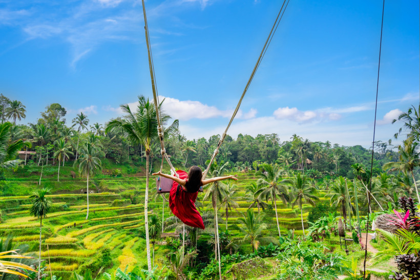Bali Eine Frau in einem roten Kleid schwingt hoch über üppig grünen Reisterrassen auf einer berühmten Dschungelschaukel auf Bali. Sie hat die Arme weit ausgebreitet und blickt in die tropische Landschaft mit zahlreichen Palmen. Der Himmel ist blau mit wenigen