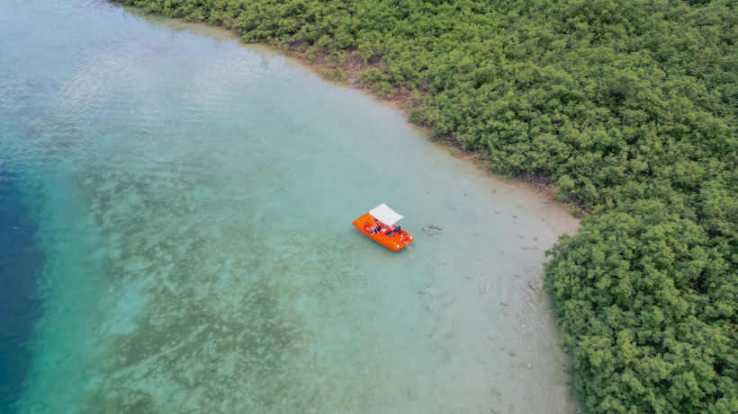 Ausflug zum Kournas-See bei Georgioupolis im Rahmen eines Familienurlaubs Tretboot auf dem Kournas-See bei Georgioupolis, Ufer mit dichter Vegetation